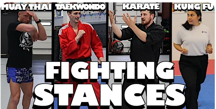 Different Martial Arts Styles FIGHTING STANCE